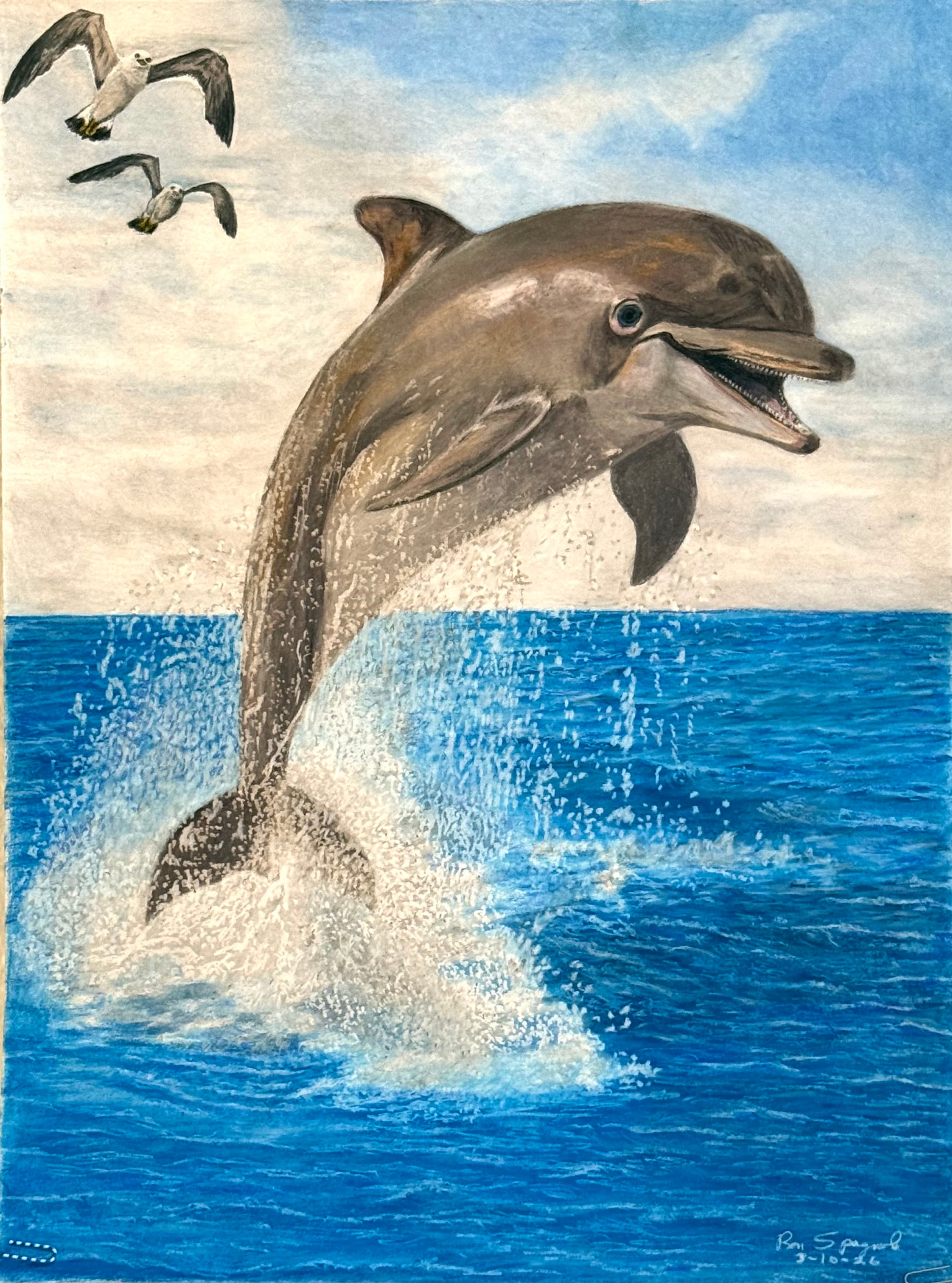 Dolphin